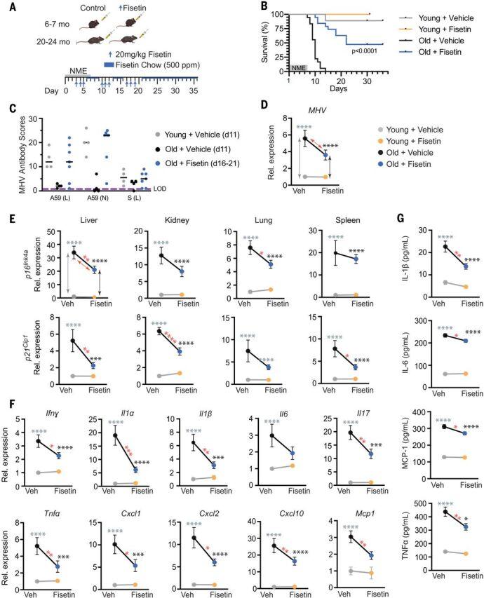 https://cdn.ncbi.nlm.nih.gov/pmc/blobs/f5a3/9266560/852cb2bf1e4b/373_abe4832_f4.jpg