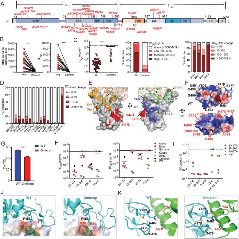 https://cdn.ncbi.nlm.nih.gov/pmc/blobs/f5a5/9061748/3f6388116249/41423_2022_853_Fig1_HTML.jpg