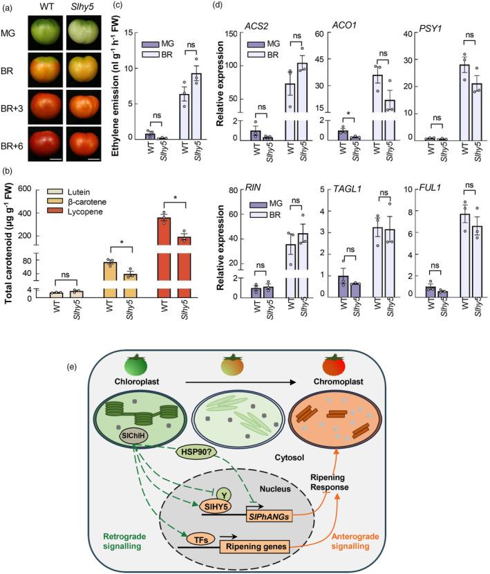 https://cdn.ncbi.nlm.nih.gov/pmc/blobs/f5a7/11869169/6c00d1b5fb27/PBI-23-911-g007.jpg