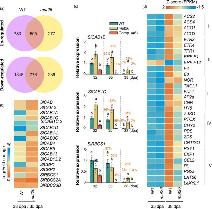 https://cdn.ncbi.nlm.nih.gov/pmc/blobs/f5a7/11869169/76b56063a4c8/PBI-23-911-g003.jpg
