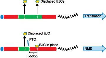 https://cdn.ncbi.nlm.nih.gov/pmc/blobs/f5ac/5448149/9f6326affc21/13073_2017_441_Fig4_HTML.jpg
