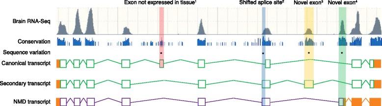 https://cdn.ncbi.nlm.nih.gov/pmc/blobs/f5ac/5448149/e26c02650190/13073_2017_441_Fig8_HTML.jpg