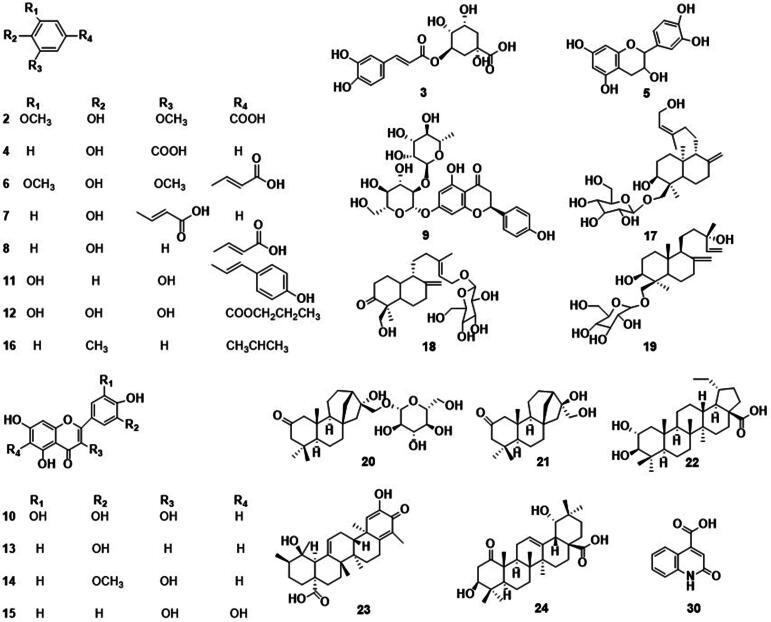 https://cdn.ncbi.nlm.nih.gov/pmc/blobs/f5ad/11283228/77699f169592/gr2.jpg