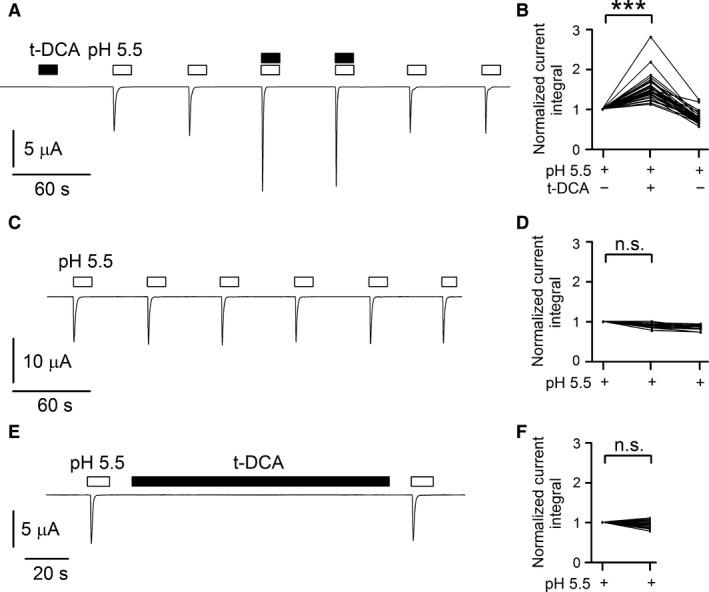 https://cdn.ncbi.nlm.nih.gov/pmc/blobs/f5ad/5309578/69104de86b7d/PHY2-5-e13132-g001.jpg
