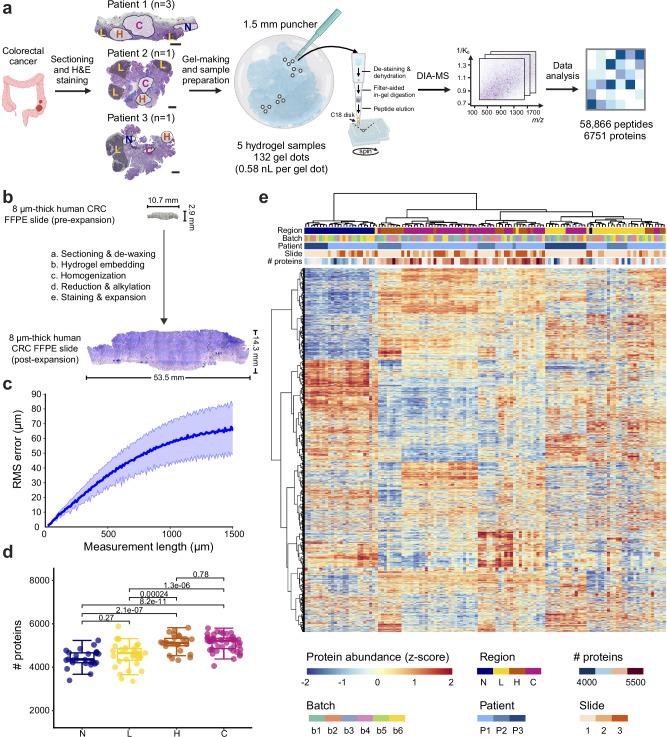 https://cdn.ncbi.nlm.nih.gov/pmc/blobs/f5b1/11525631/76886b1a2dee/41467_2024_53683_Fig5_HTML.jpg