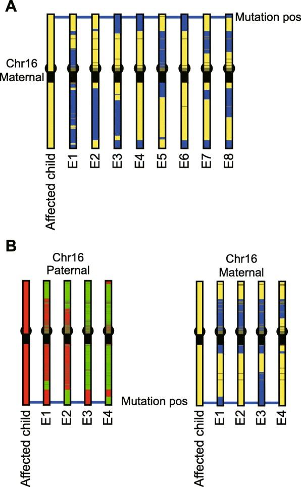 https://cdn.ncbi.nlm.nih.gov/pmc/blobs/f5b1/6995221/7b7b7f1d1c4c/12859_2020_3381_Fig2_HTML.jpg