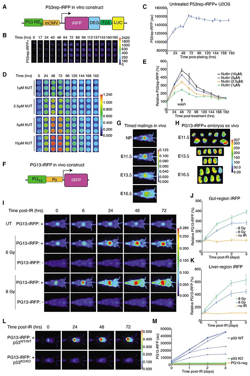 https://cdn.ncbi.nlm.nih.gov/pmc/blobs/f5b1/7612476/285ce1febcc3/EMS143776-f001.jpg