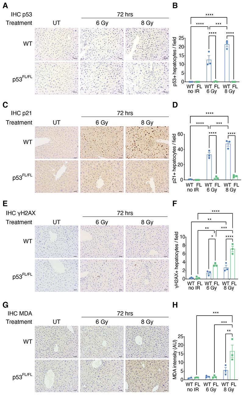 https://cdn.ncbi.nlm.nih.gov/pmc/blobs/f5b1/7612476/5ddaa8716473/EMS143776-f003.jpg