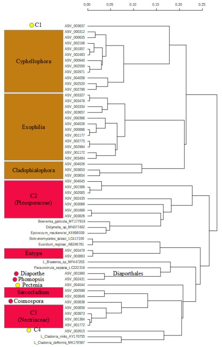 https://cdn.ncbi.nlm.nih.gov/pmc/blobs/f5b2/8147784/7c0e32d0d30c/pathogens-10-00555-g003.jpg