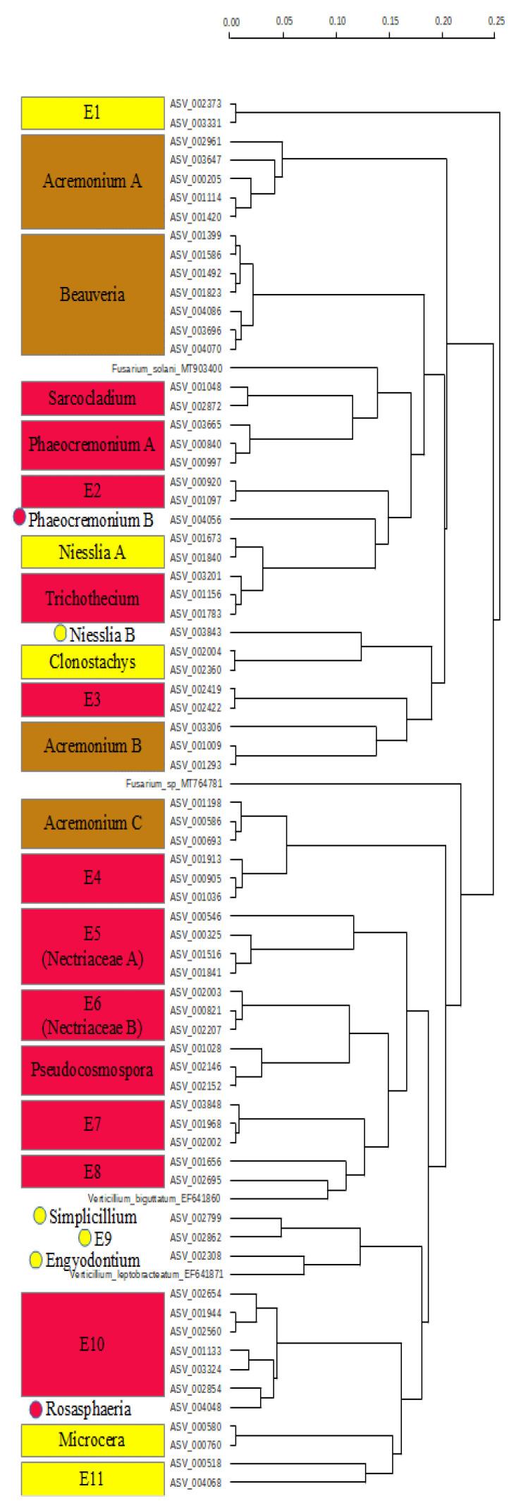 https://cdn.ncbi.nlm.nih.gov/pmc/blobs/f5b2/8147784/c3521ed050ff/pathogens-10-00555-g004.jpg