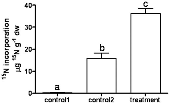 https://cdn.ncbi.nlm.nih.gov/pmc/blobs/f5b3/2912860/28963bdf738d/pone.0011915.g006.jpg