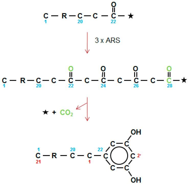 https://cdn.ncbi.nlm.nih.gov/pmc/blobs/f5b3/5620584/d7b974efad78/plants-06-00028-g008.jpg