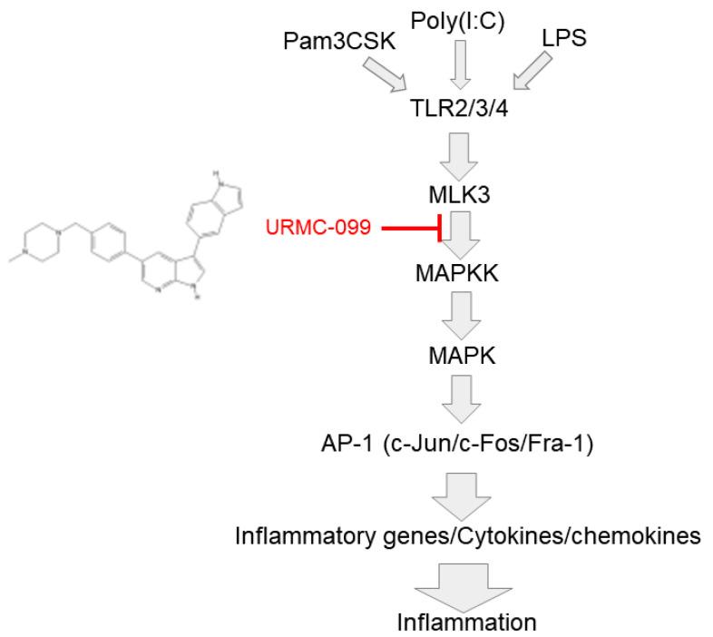 https://cdn.ncbi.nlm.nih.gov/pmc/blobs/f5b7/9501218/23ed8b414b1a/ijms-23-10874-g005.jpg