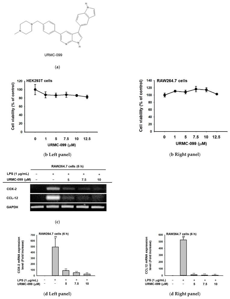 https://cdn.ncbi.nlm.nih.gov/pmc/blobs/f5b7/9501218/7ab6751373a0/ijms-23-10874-g004a.jpg