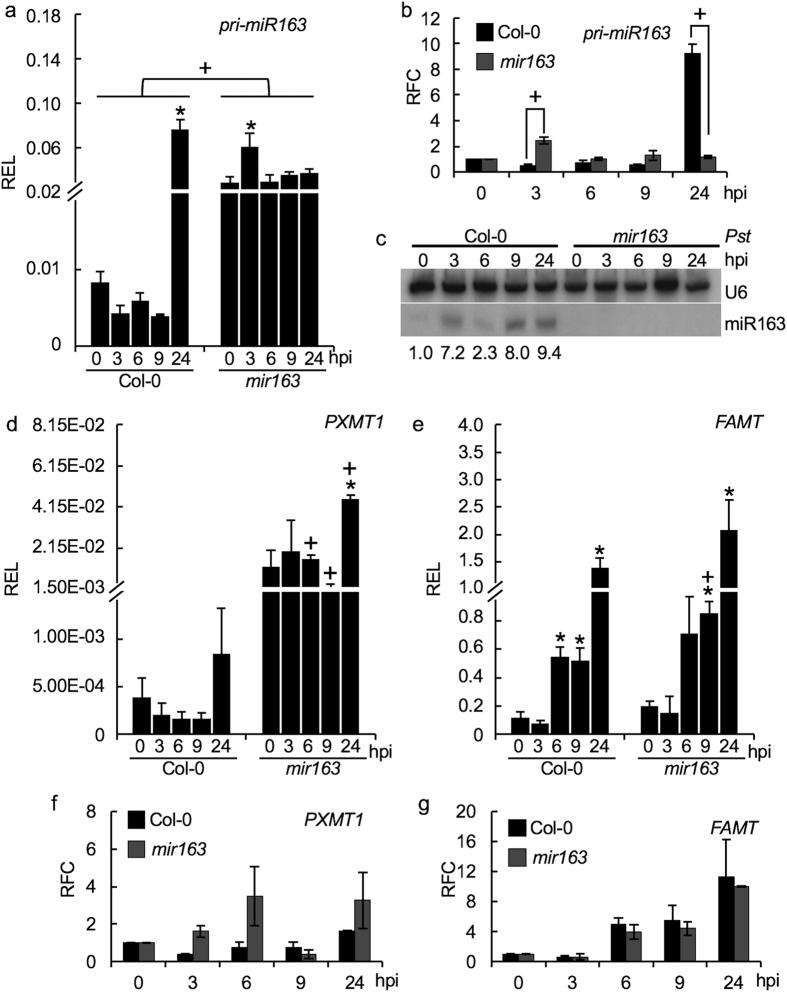 https://cdn.ncbi.nlm.nih.gov/pmc/blobs/f5b8/5388894/9aa1cb96aecd/srep46433-f2.jpg