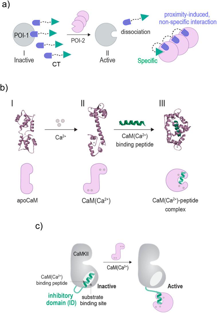 https://cdn.ncbi.nlm.nih.gov/pmc/blobs/f5b9/11389473/10fb311371d5/d4sc02635g-f1.jpg