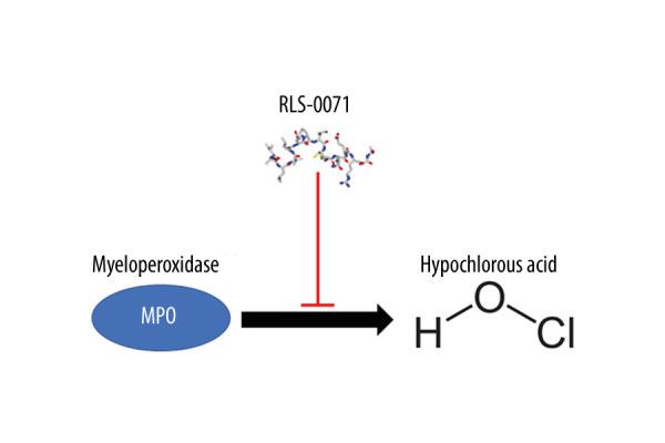 https://cdn.ncbi.nlm.nih.gov/pmc/blobs/f5ba/10226671/903116da8e4e/amjcaserep-24-e939803-g001.jpg