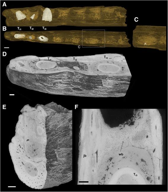 https://cdn.ncbi.nlm.nih.gov/pmc/blobs/f5ba/5034473/7811e8ecf928/12862_2016_753_Fig3_HTML.jpg