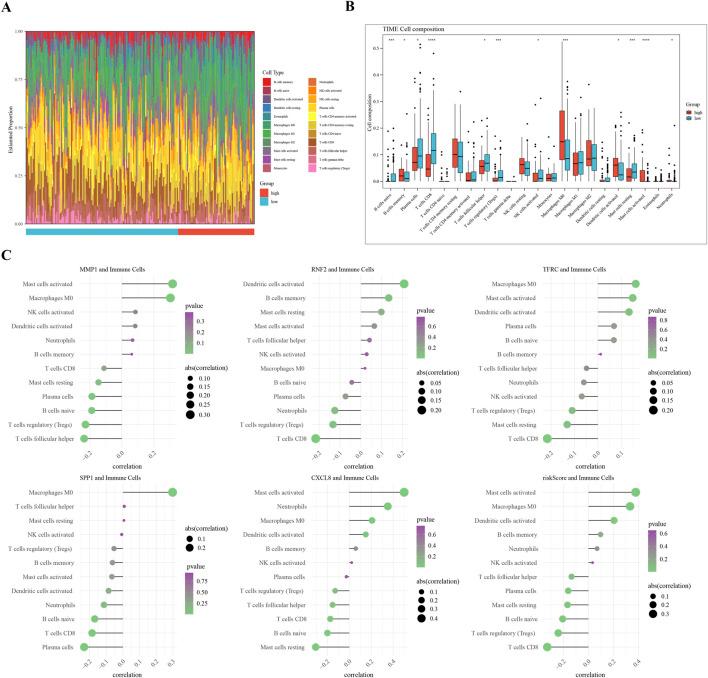 https://cdn.ncbi.nlm.nih.gov/pmc/blobs/f5bc/12343280/59f913215732/fgene-16-1578075-g006.jpg