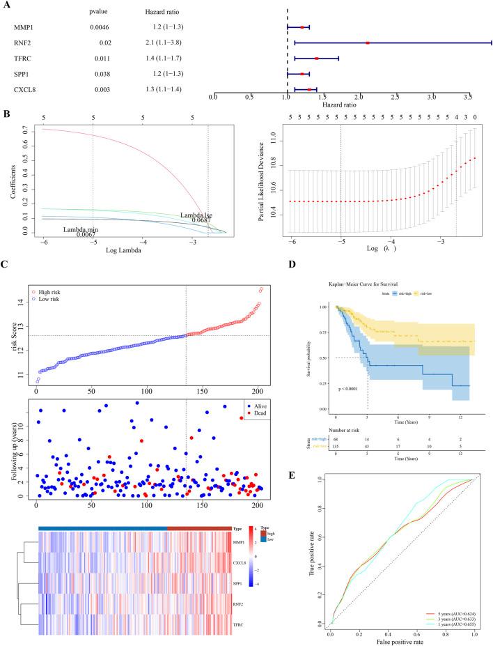 https://cdn.ncbi.nlm.nih.gov/pmc/blobs/f5bc/12343280/ef9bab617890/fgene-16-1578075-g002.jpg