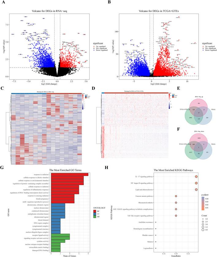 https://cdn.ncbi.nlm.nih.gov/pmc/blobs/f5bc/12343280/f203a6a2fcde/fgene-16-1578075-g001.jpg