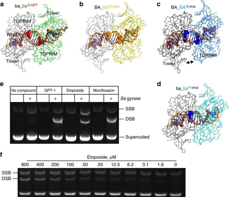 https://cdn.ncbi.nlm.nih.gov/pmc/blobs/f5bc/4686662/e7c831e75eb6/ncomms10048-f2.jpg