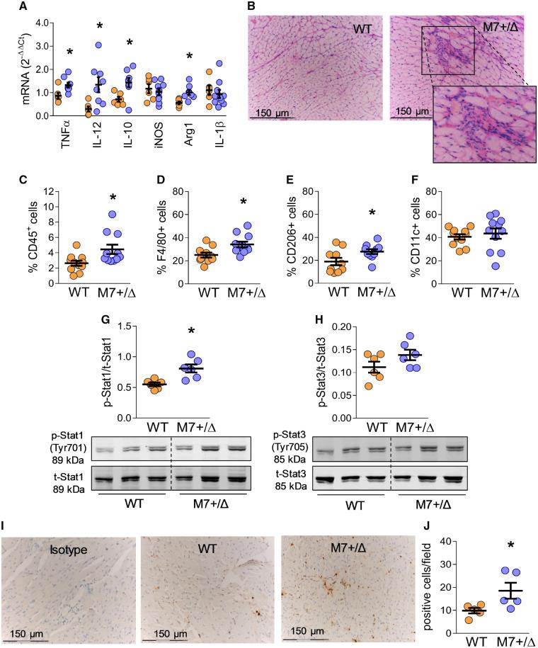 https://cdn.ncbi.nlm.nih.gov/pmc/blobs/f5bc/7252442/6eefb09024c2/cvz164f3.jpg