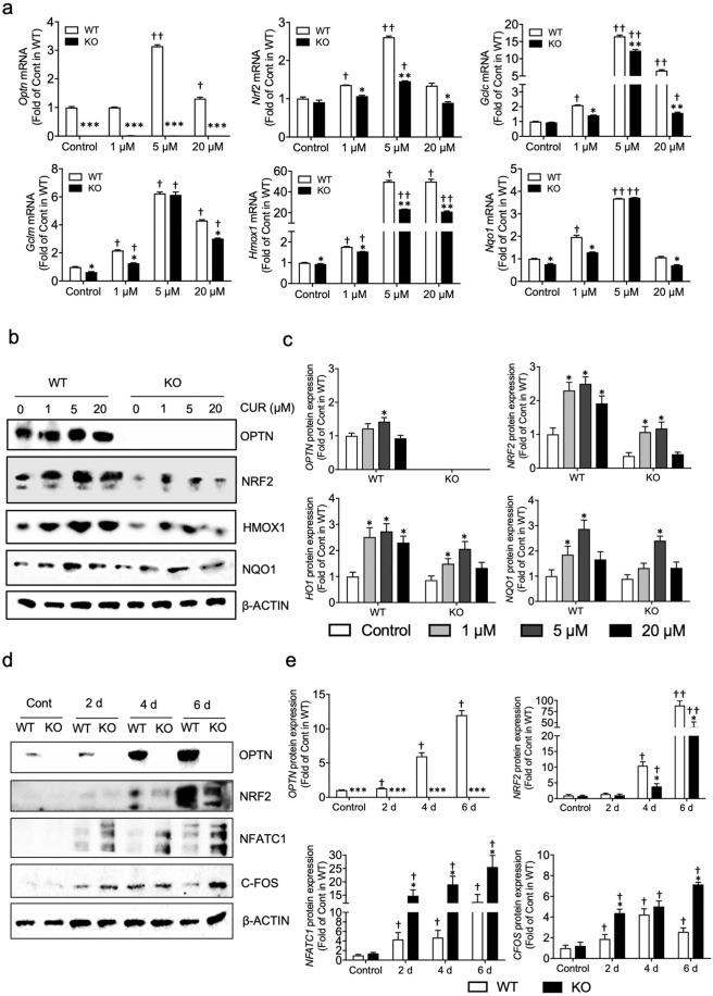 https://cdn.ncbi.nlm.nih.gov/pmc/blobs/f5bd/8102640/3faafbed5888/12276_2021_596_Fig4_HTML.jpg