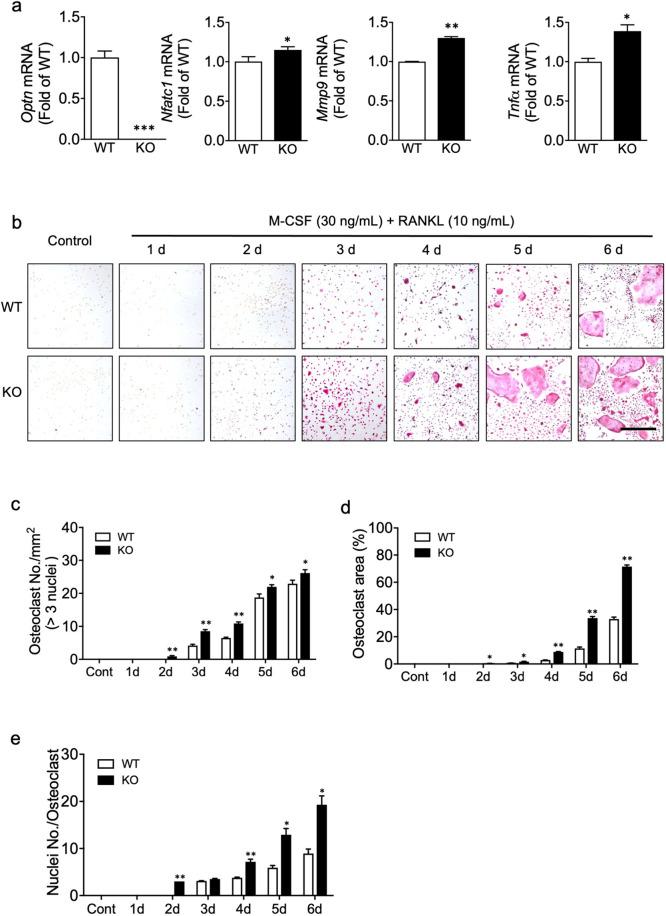 https://cdn.ncbi.nlm.nih.gov/pmc/blobs/f5bd/8102640/50d902296446/12276_2021_596_Fig1_HTML.jpg