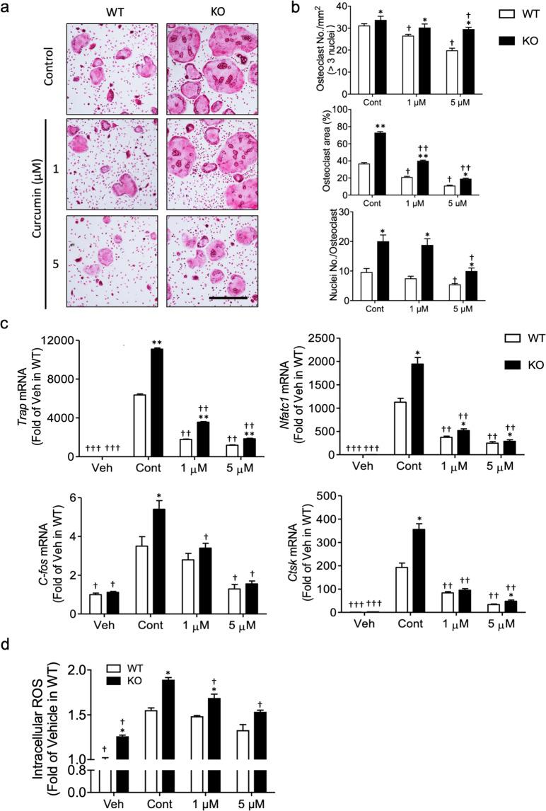 https://cdn.ncbi.nlm.nih.gov/pmc/blobs/f5bd/8102640/b3f7226b6810/12276_2021_596_Fig6_HTML.jpg