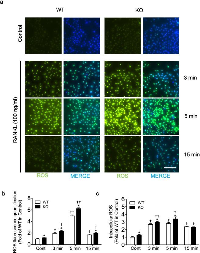 https://cdn.ncbi.nlm.nih.gov/pmc/blobs/f5bd/8102640/dadba95a387f/12276_2021_596_Fig2_HTML.jpg