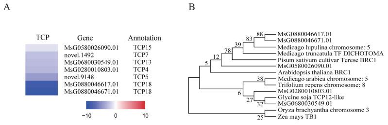 https://cdn.ncbi.nlm.nih.gov/pmc/blobs/f5c0/11172634/829cac21a52a/ijms-25-06225-g008.jpg