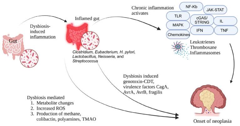 https://cdn.ncbi.nlm.nih.gov/pmc/blobs/f5c0/11720164/3baf2ba72632/cancers-17-00090-g001.jpg