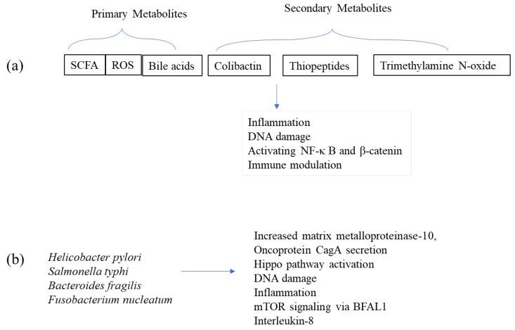 https://cdn.ncbi.nlm.nih.gov/pmc/blobs/f5c0/11720164/c548c65372f6/cancers-17-00090-g002.jpg