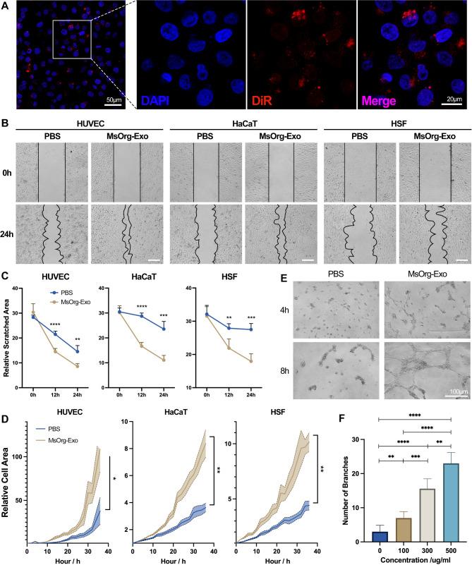 https://cdn.ncbi.nlm.nih.gov/pmc/blobs/f5c2/11378544/50137e300b6e/12951_2024_2811_Fig2_HTML.jpg