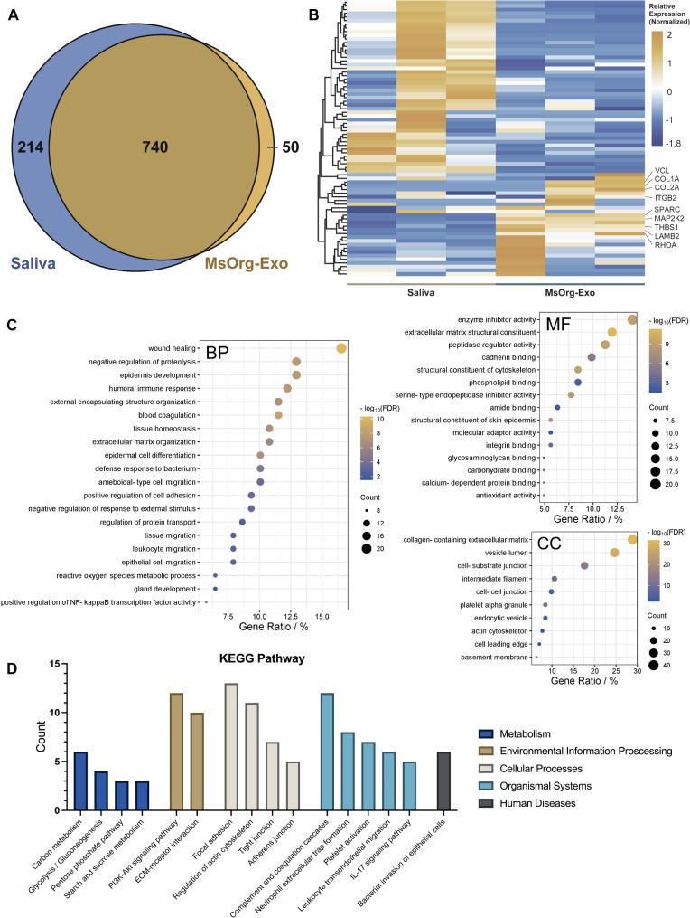 https://cdn.ncbi.nlm.nih.gov/pmc/blobs/f5c2/11378544/6dbec5b31863/12951_2024_2811_Fig6_HTML.jpg