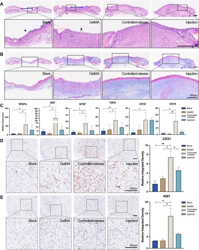 https://cdn.ncbi.nlm.nih.gov/pmc/blobs/f5c2/11378544/d8de357fe88b/12951_2024_2811_Fig5_HTML.jpg