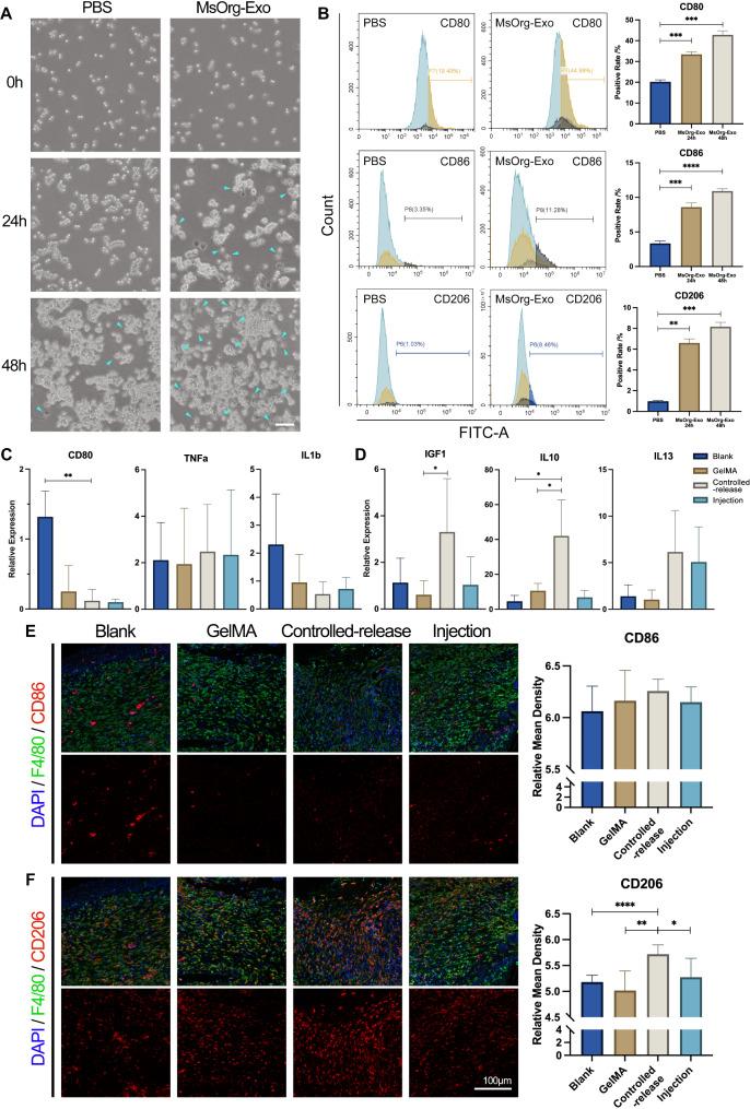 https://cdn.ncbi.nlm.nih.gov/pmc/blobs/f5c2/11378544/e90b646c4143/12951_2024_2811_Fig7_HTML.jpg