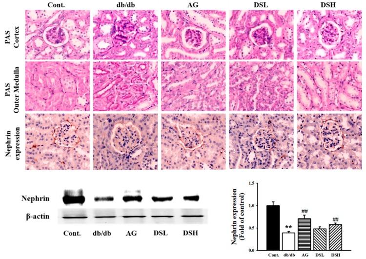 https://cdn.ncbi.nlm.nih.gov/pmc/blobs/f5c4/6471502/94f9402baf30/nutrients-11-00553-g005.jpg