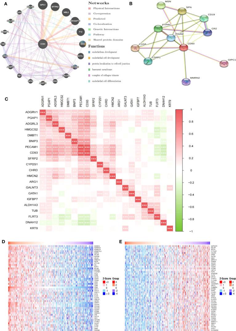 https://cdn.ncbi.nlm.nih.gov/pmc/blobs/f5ca/10359974/3241811c2db4/fimmu-14-1158360-g004.jpg