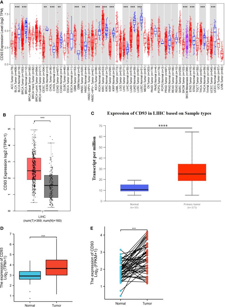 https://cdn.ncbi.nlm.nih.gov/pmc/blobs/f5ca/10359974/754deef0aecb/fimmu-14-1158360-g001.jpg