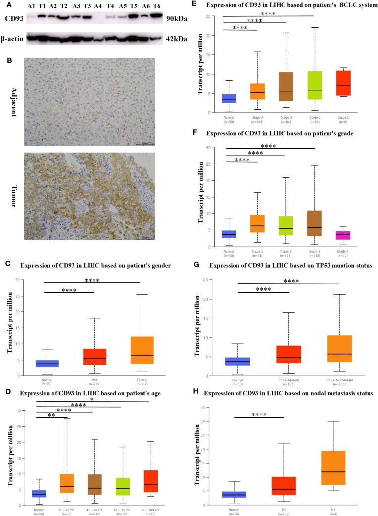 https://cdn.ncbi.nlm.nih.gov/pmc/blobs/f5ca/10359974/e1845cadbf8e/fimmu-14-1158360-g002.jpg