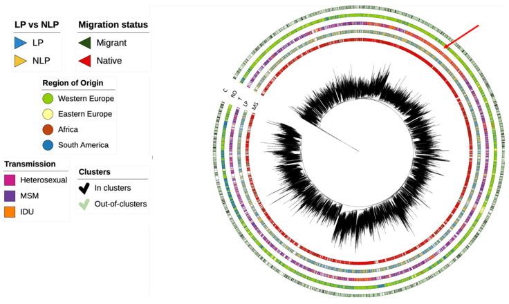 https://cdn.ncbi.nlm.nih.gov/pmc/blobs/f5cc/10746990/2b33646dc513/viruses-15-02418-g002.jpg