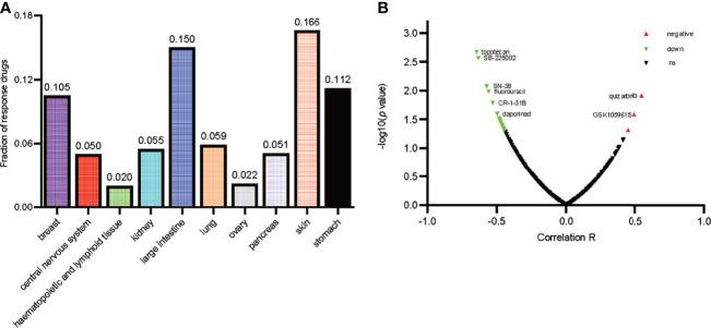 https://cdn.ncbi.nlm.nih.gov/pmc/blobs/f5cc/8692769/f648ffb897f6/fonc-11-744107-g007.jpg