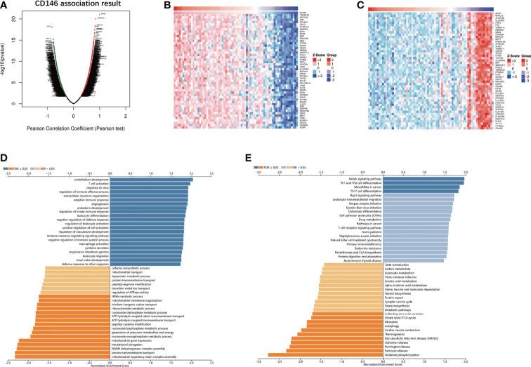 https://cdn.ncbi.nlm.nih.gov/pmc/blobs/f5cc/8692769/fda2cf5b77b5/fonc-11-744107-g004.jpg