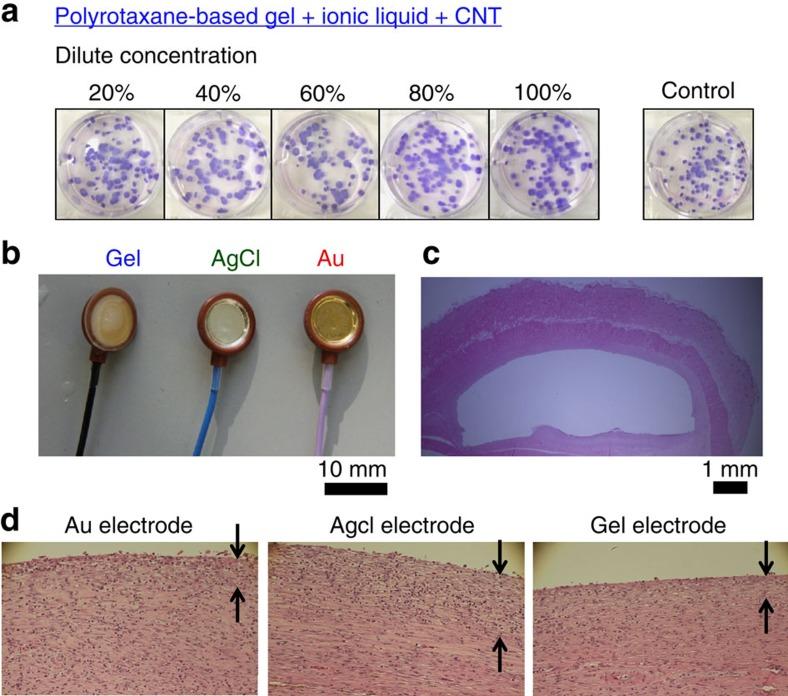 https://cdn.ncbi.nlm.nih.gov/pmc/blobs/f5cd/5411732/8296a0719c38/ncomms11425-f2.jpg