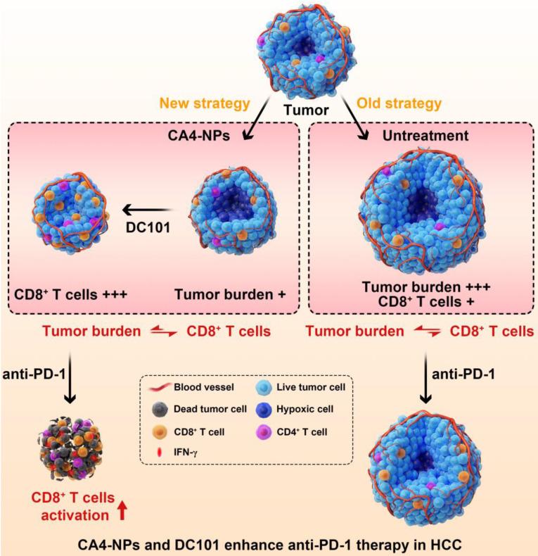 https://cdn.ncbi.nlm.nih.gov/pmc/blobs/f5cd/8058708/0aa6af5e2d0d/thnov11p5955g005.jpg