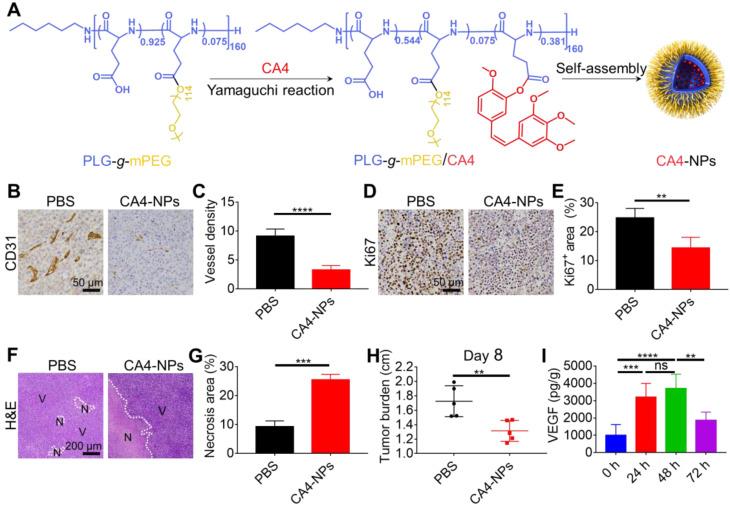 https://cdn.ncbi.nlm.nih.gov/pmc/blobs/f5cd/8058708/32a7f2591e5c/thnov11p5955g001.jpg