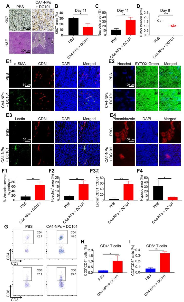 https://cdn.ncbi.nlm.nih.gov/pmc/blobs/f5cd/8058708/33cd0920de5d/thnov11p5955g003.jpg