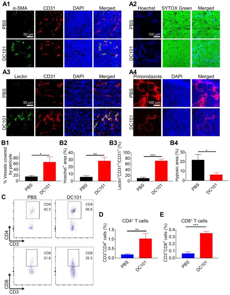 https://cdn.ncbi.nlm.nih.gov/pmc/blobs/f5cd/8058708/71de67a63e3f/thnov11p5955g002.jpg